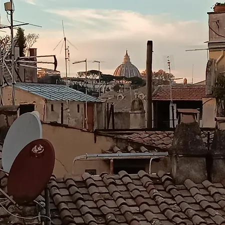 Nikis Collection Trastevere